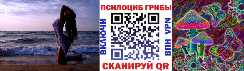 Купить где  Североуральск  Галлюциногенные грибы мухоморы 