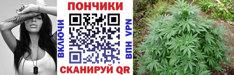 Бошки марихуана гибрид  Купить закладки  Североуральск 
